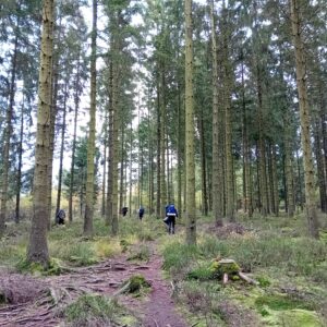 Vierdaagse Trektocht Utrechtse Heuvelrug