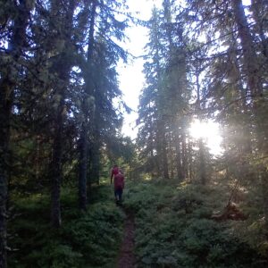 Driedaagse Trektocht Utrechtse Heuvelrug